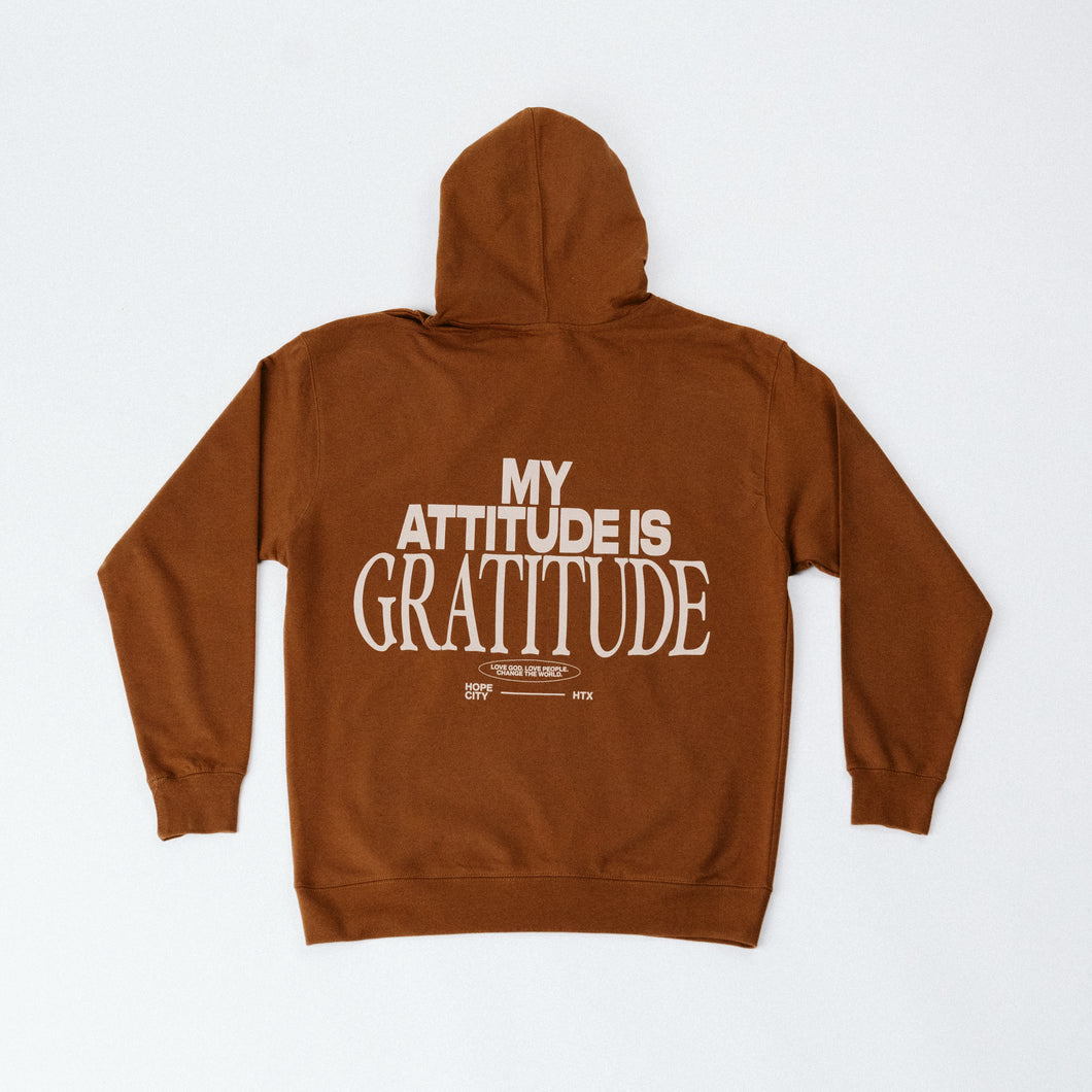 Gratitude Hoodie